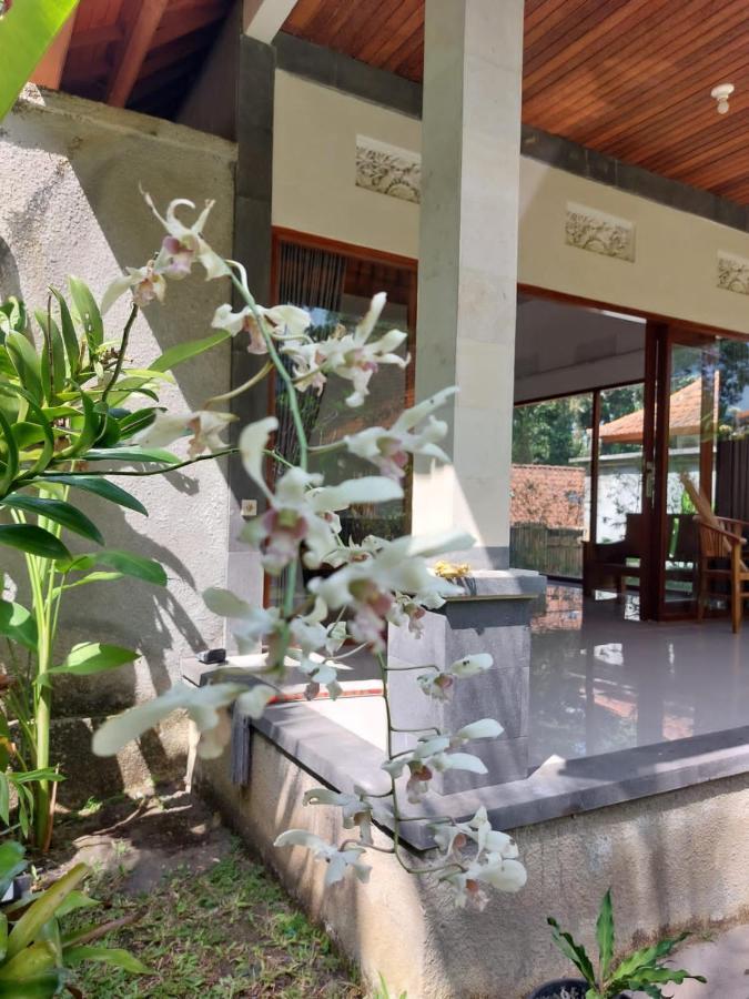 Pondok Kukuh Villa Sidemen Sidemen  Exterior photo